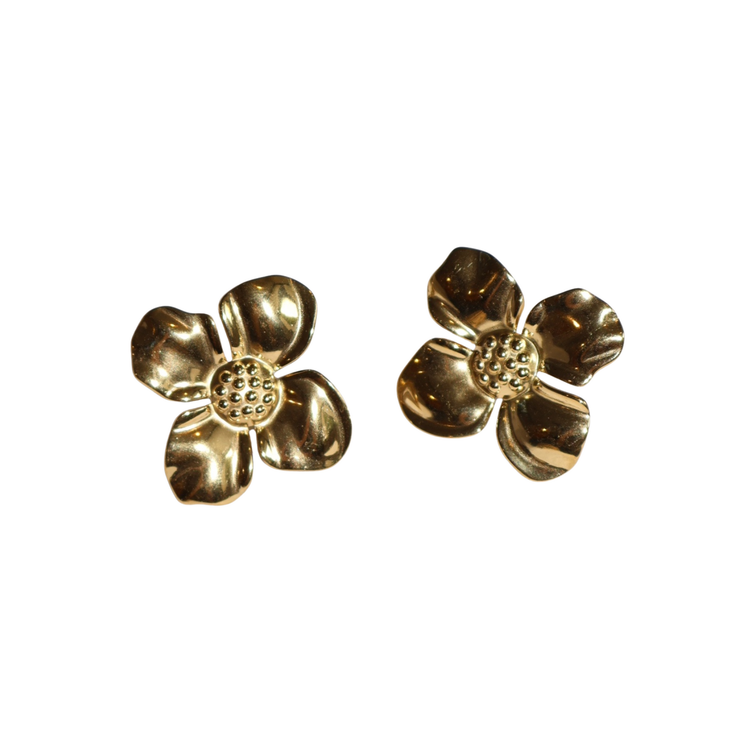 Aretes “COLIBRÍ”