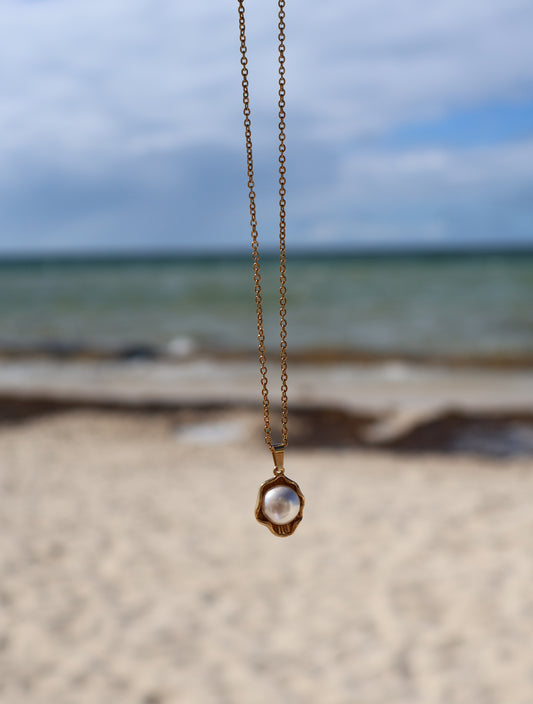 Collar “SAL” marea