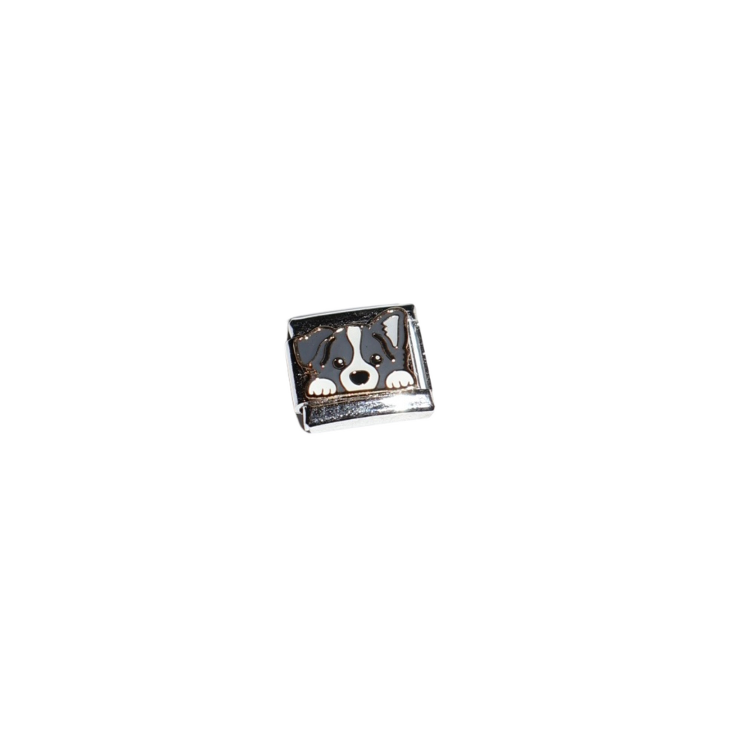 Charm “BORDER COLLIE”
