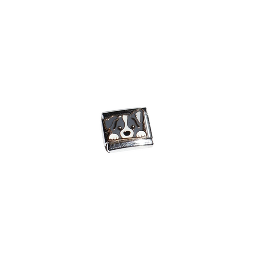 Charm “BORDER COLLIE”