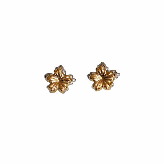 Aretes “GIOVANNA BICOLOR” new drop