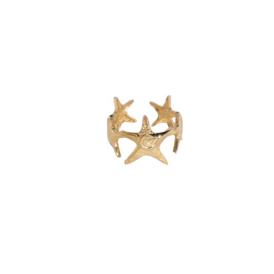Anillo “SALADO”