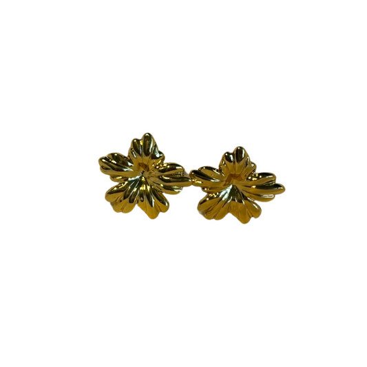 Aretes "GIOVANNA"