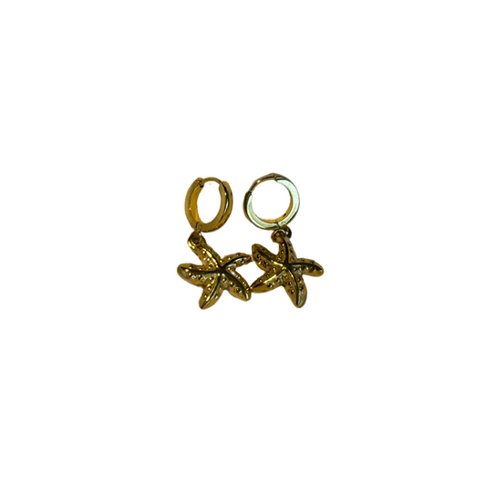 Aretes "BENAVIDES"