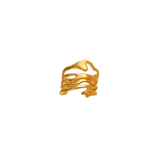 Anillo "CAMBRANIS"