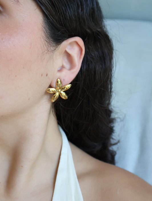 Aretes “AMAPOLA”