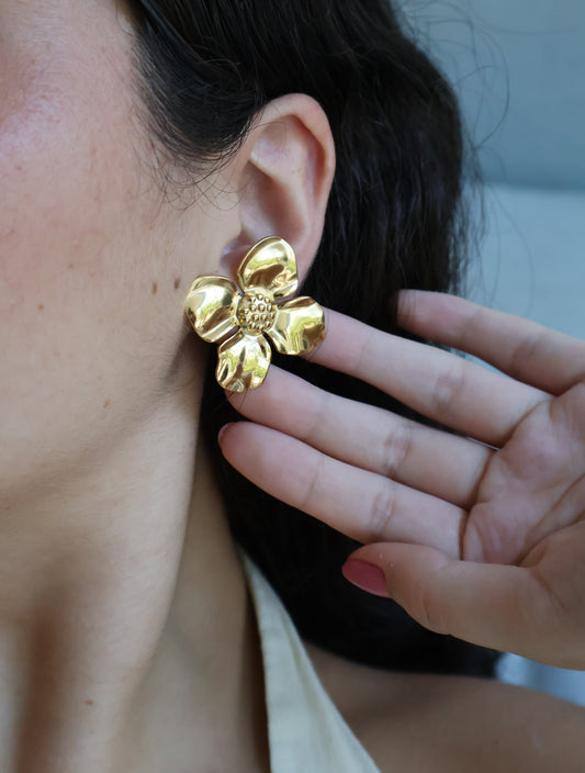 Aretes “COLIBRÍ”