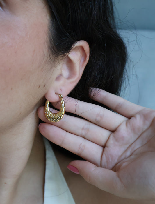 Aretes “ESCAMAS”